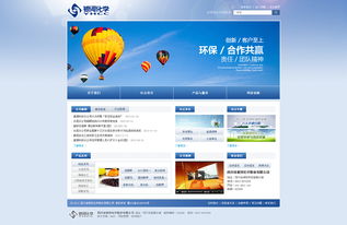 2013年度高清網(wǎng)站設(shè)計(jì)精選 技術(shù)與視覺的融合